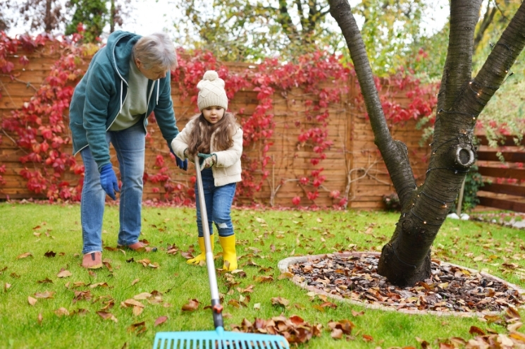 Grandmother helping young girl rake leaves