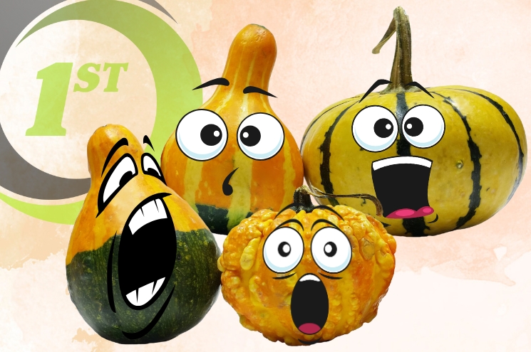 4 gourds with animated surprised faces