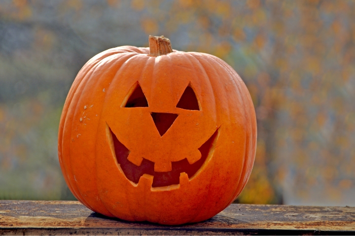various gourds with surprised face on pumpkin