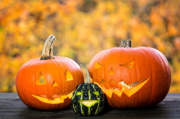 gourds, one with shocked face